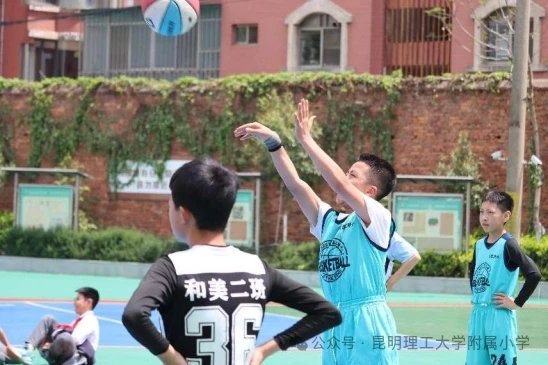 如何通过反馈分析提升篮球战术意识_2